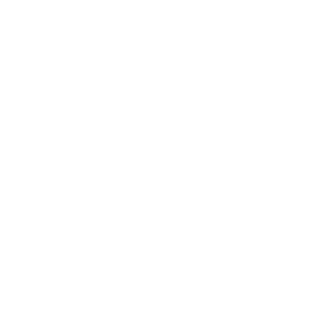 personalized training support icon