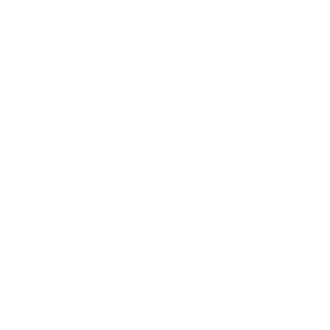 professional strength & cardio equipment