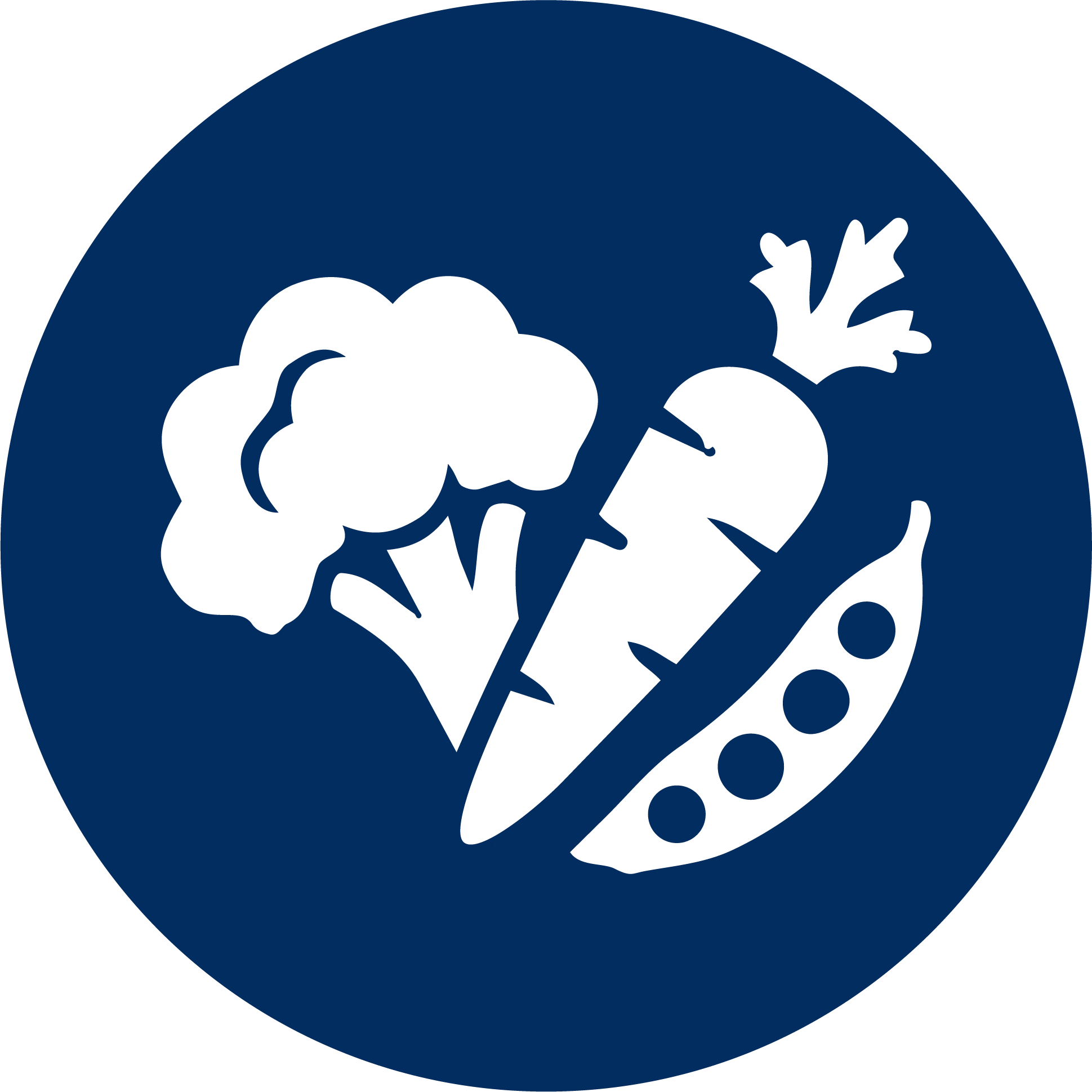 vegetarian icon